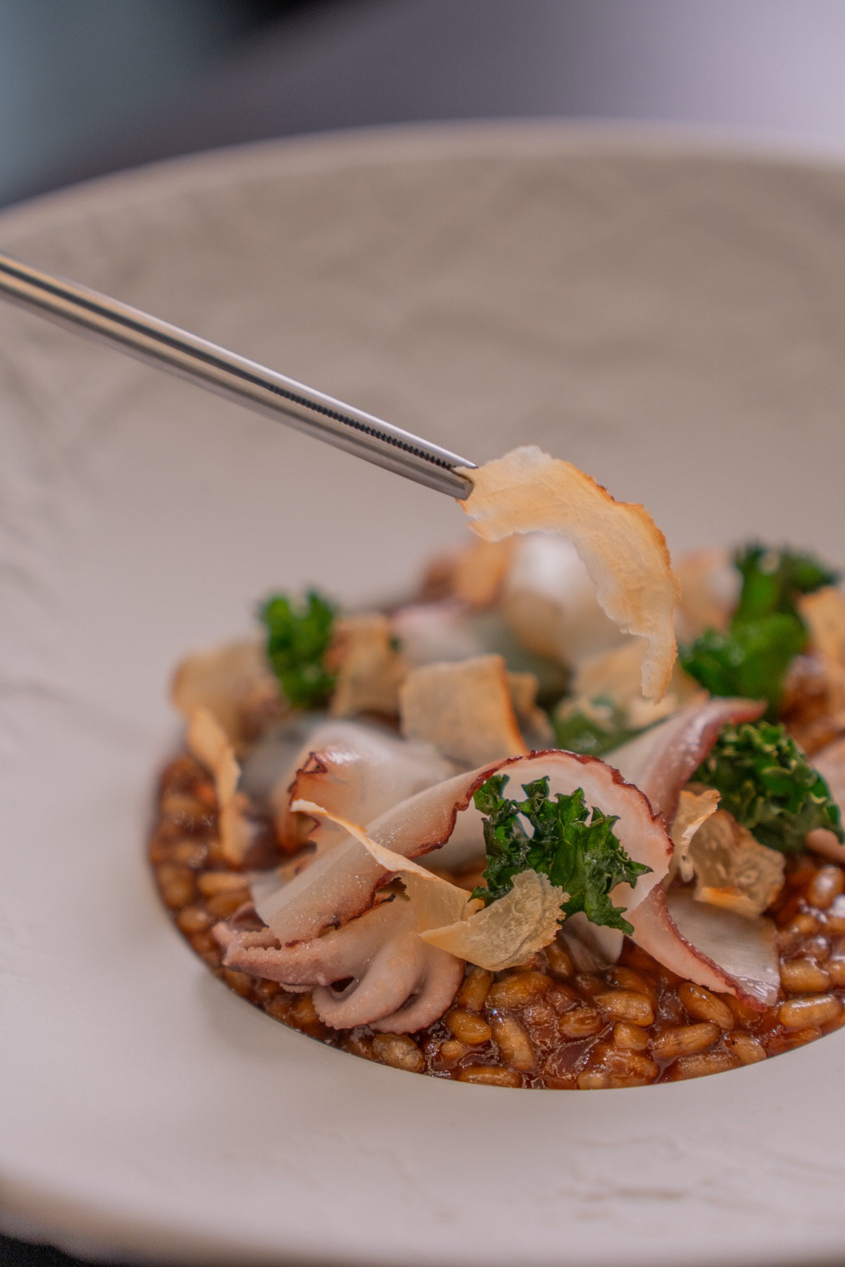Seafood close-up — Deessa Quique Dacosta, Madrid