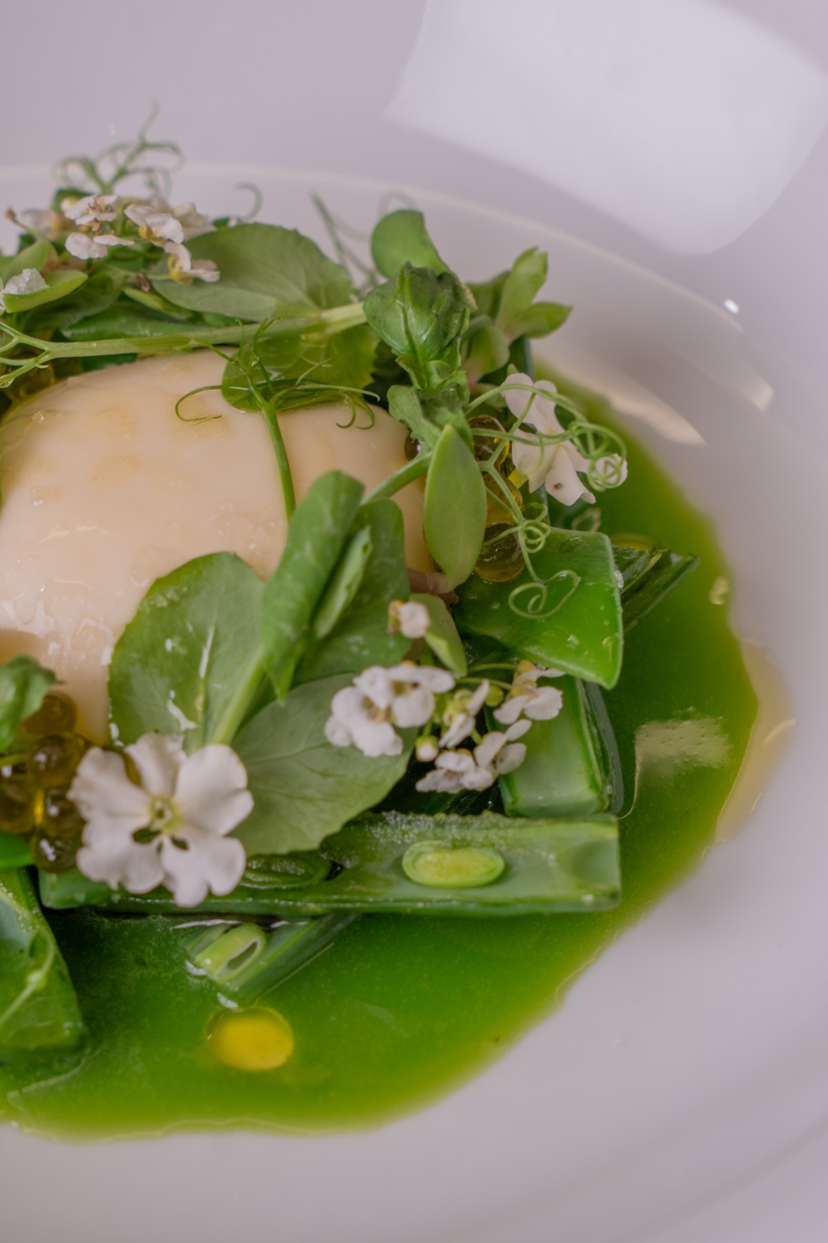 Green herb dish with flowers — Richard Ekkebus at Deessa, Madrid